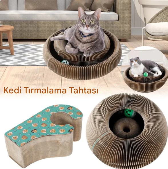 Kedi Oyun Topu Ve Eğlence Seti